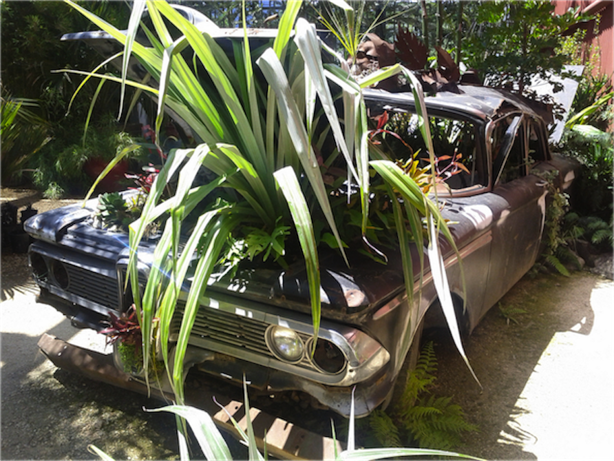 To "green" urban settings, Flora Grubb, the founder of Flora Grubb Gardens, draws her inspiration from nature.
