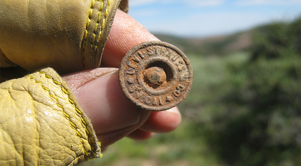 levi strauss buttons