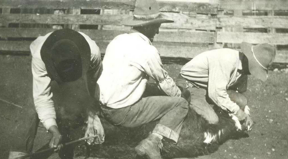 do cowboys wear levis