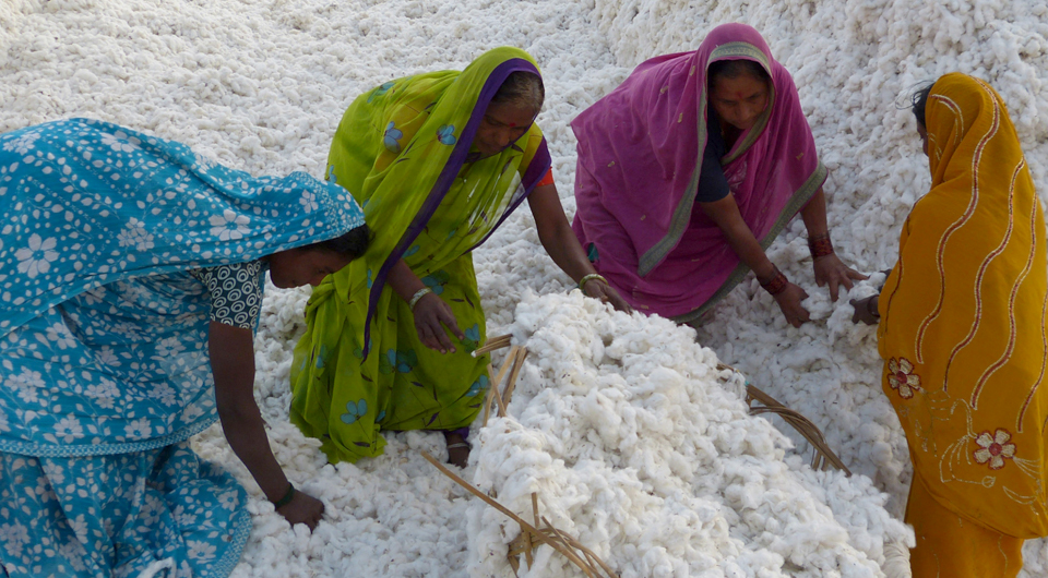 Better Cotton Initiative - Levi Strauss 