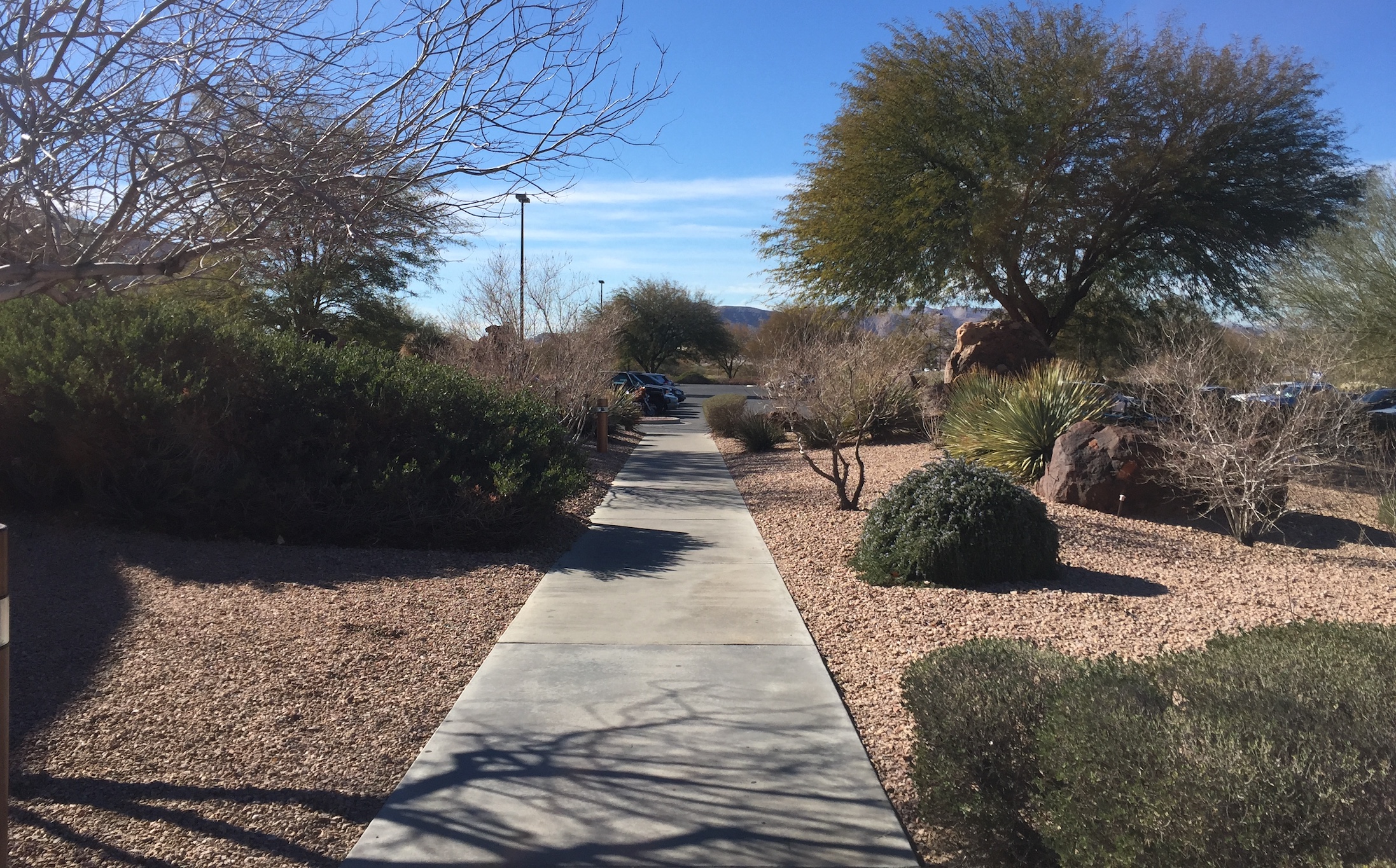 Sky Harbor Distribution Center Steps Up as a Sustainability Leader - Levi  Strauss & Co : Levi Strauss & Co