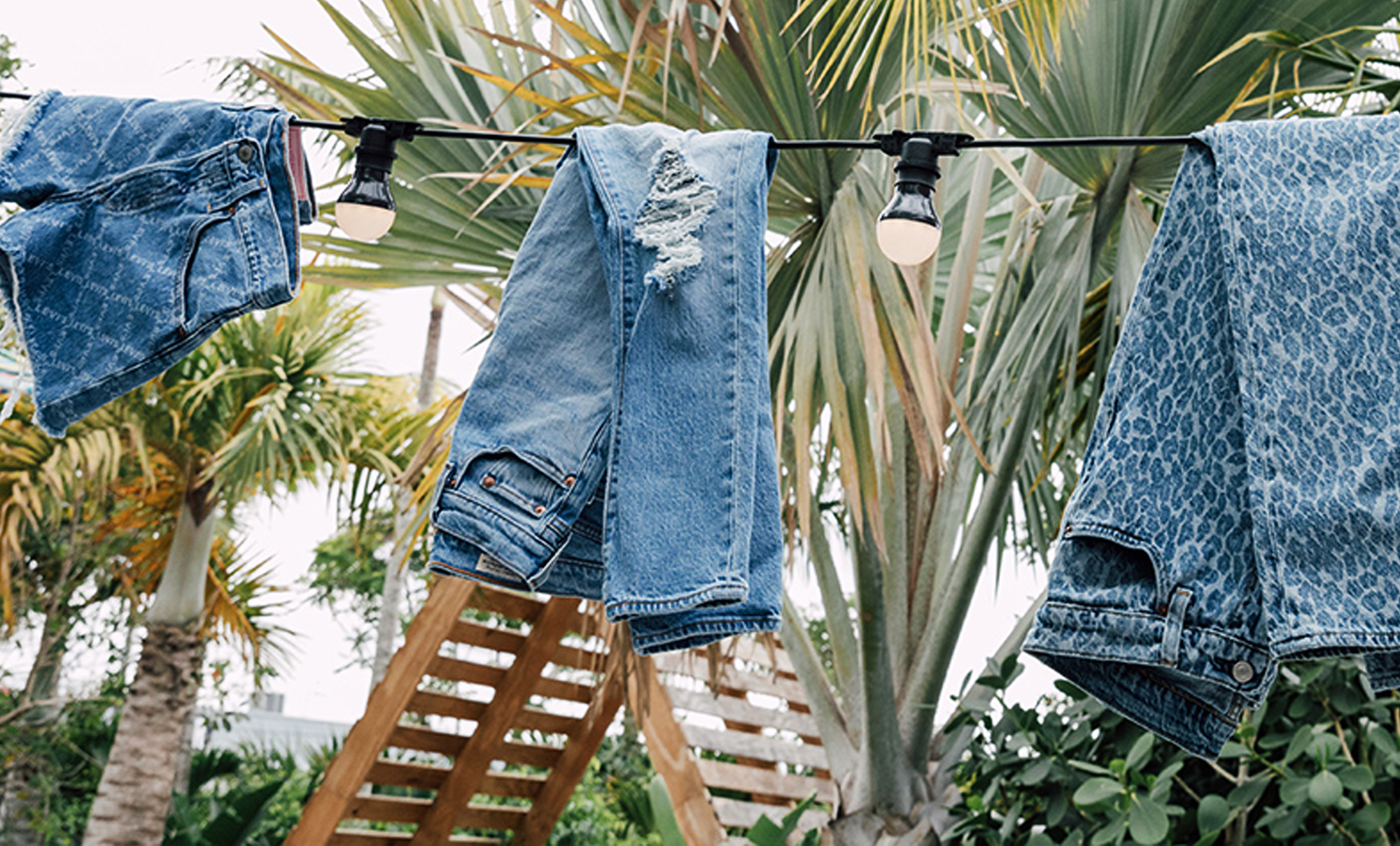 Digitally Connecting with Levi's® Consumers via TikTok - Levi Strauss & Co  : Levi Strauss & Co