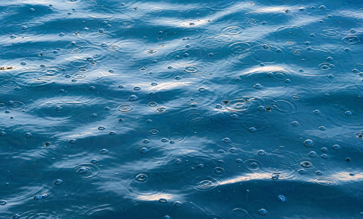 Circularity Comes to Life Through Water Recycling - Levi Strauss & Co ...