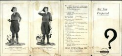 Womens Togs Brochure