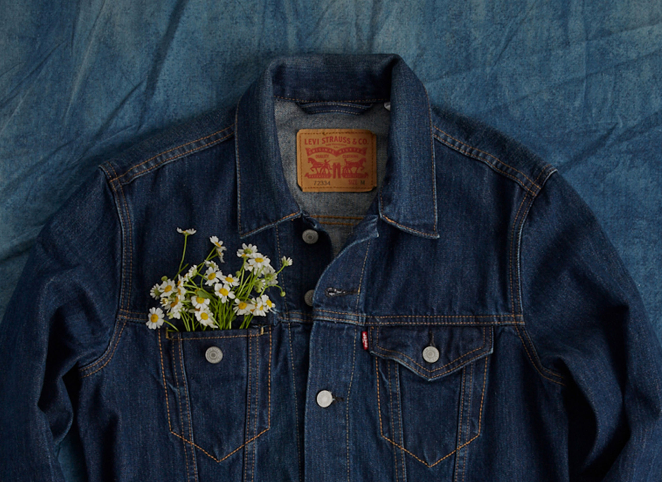 Actualizar 57+ imagen levi’s sustainability report