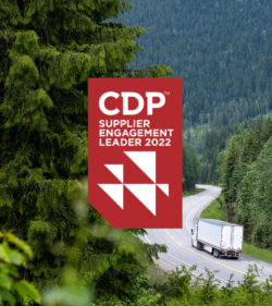 CDP Logo & graphic reading Supplier Engagement Leader 2022 laid over an image of trees