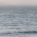 ocean water