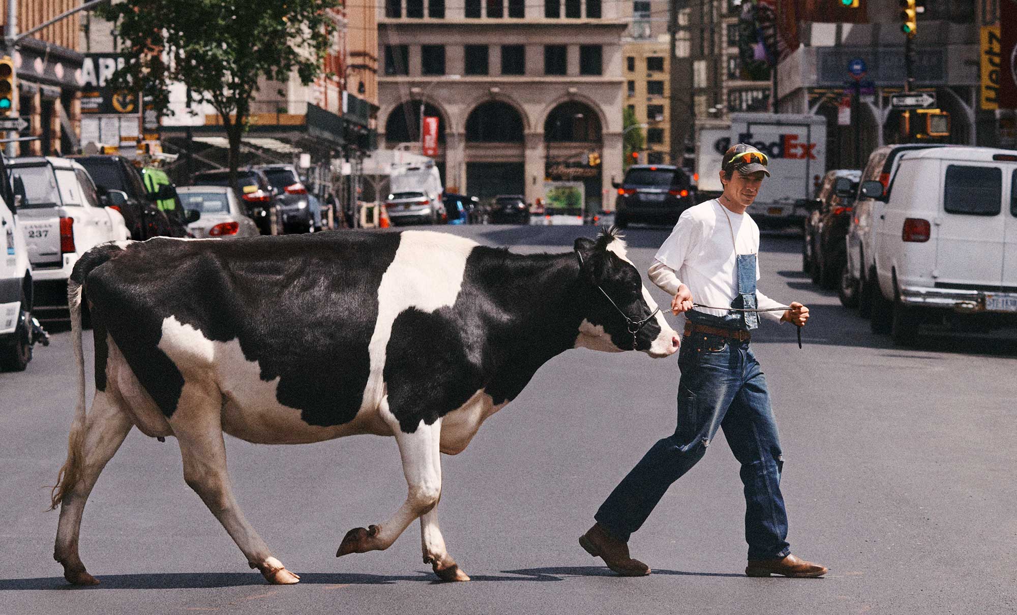 A campaign image from the Levi's® x Sky High collaboration, featuring a person wearing denim overalls over a white long sleeve shirt walking a black and white cow across a street in New York City