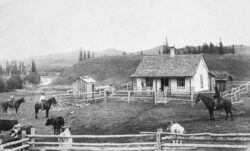 A black and white image of a ranch featuring a white house and an enclosed area with horses and cattle